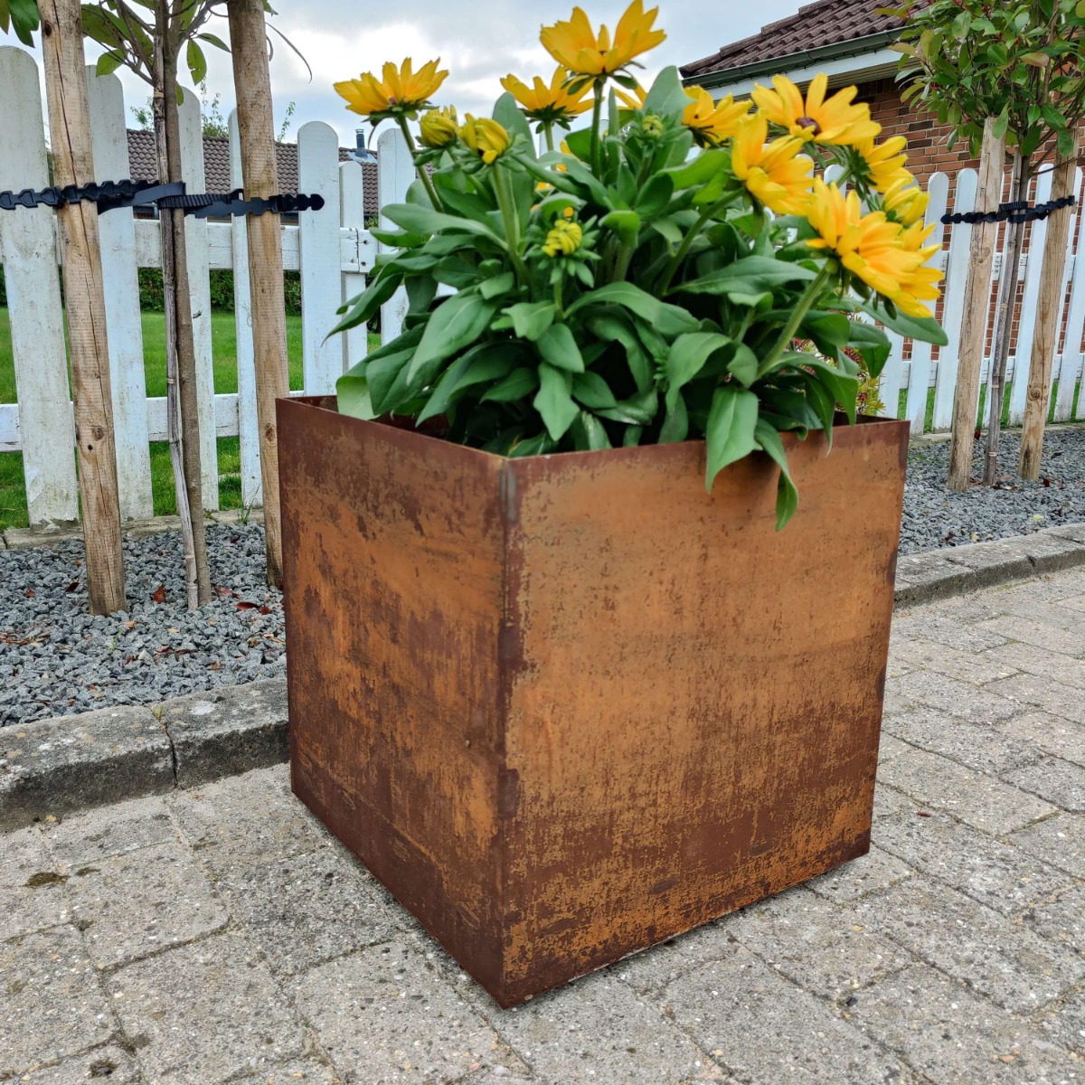 Plantekumme i 3 Mm Stålplade Med Målene 50 x 50 x 50 Cm