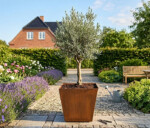 Plantekumme kegleformet i 5 mm stålplade med målene 40 x 40 x 35 cm