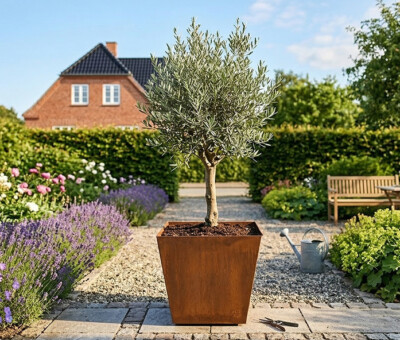 Plantekumme kegleformet i 5 mm st&aring;lplade med m&aring;lene 40 x 40 x 35 cm