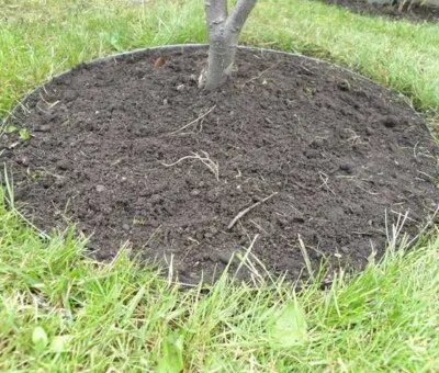Gr&aelig;skant i 0.8mm varmgalvaniseret plade 10x195cm.