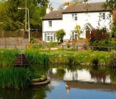 DyoFix SGP skygge 100 300 ml til 100.000 L