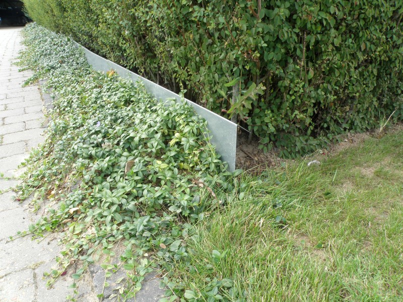 Sneglehegn i 1 Mm Varmgalvaniseret Stålplade 27 x 75 Cm