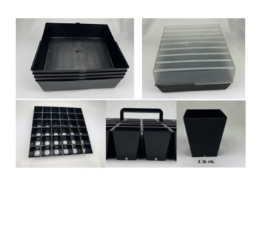 Plante starter s&aring;- og prikles&aelig;t