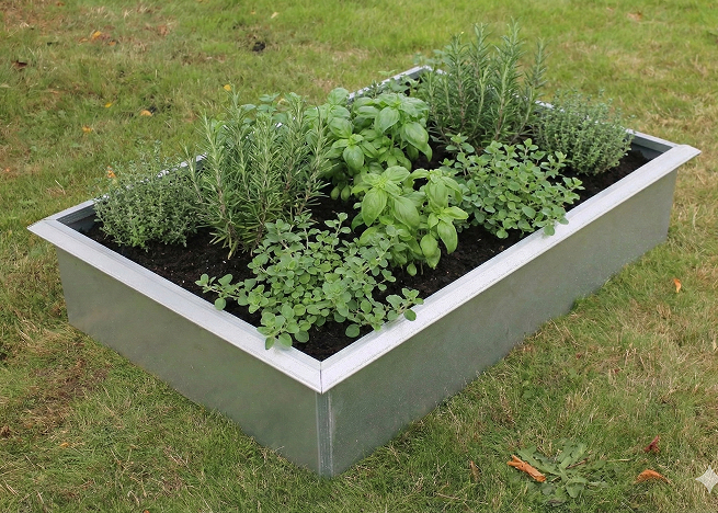 Højbede sæt firkantet galvaniseret med sneglekant