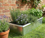 Højbede sæt med sneglekant galvaniseret til krydderurter