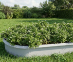 Ovale højbed galvaniseret med sneglekant H26 cm