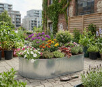 Ovale højbed galvaniseret uden sneglekant H54 cm