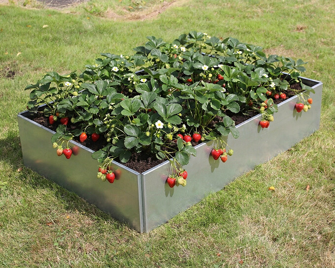 Højbede sæt firkantet galvaniseret uden sneglekant