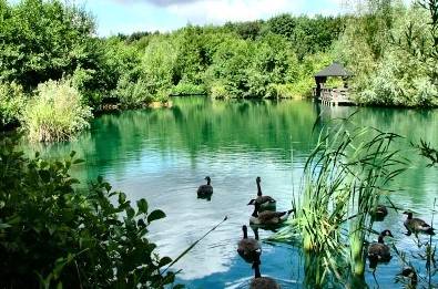 DyoFix havedam bl&aring; pulver 10x100g 10.000.000 L