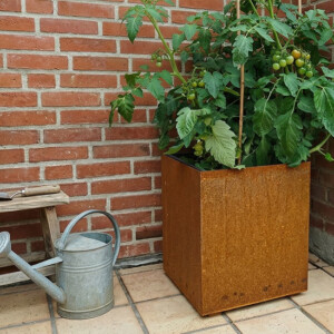 Corten st&aring;l skjuler p&aring; hjul til en plant growers