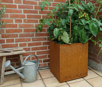 Corten st&aring;l skjuler p&aring; hjul til en plant growers