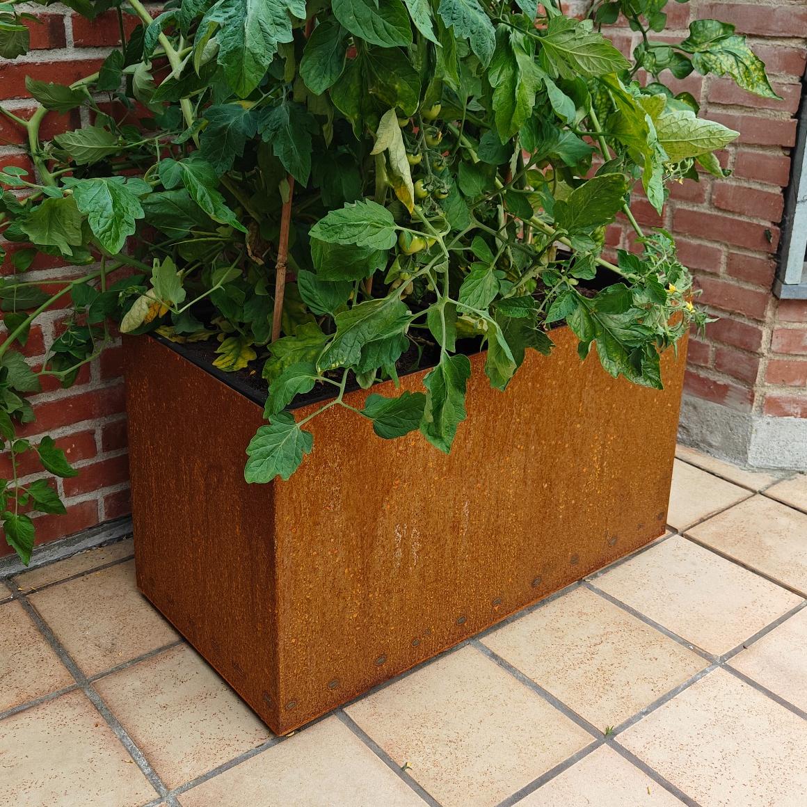 Corten Stål Skjuler På Hjul Til To Plant Growers
