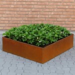 Højbede uden sneglekant